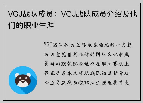 VGJ战队成员：VGJ战队成员介绍及他们的职业生涯
